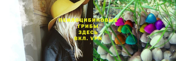 дживик Алексин