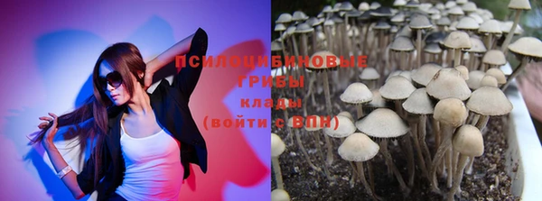 дживик Алзамай