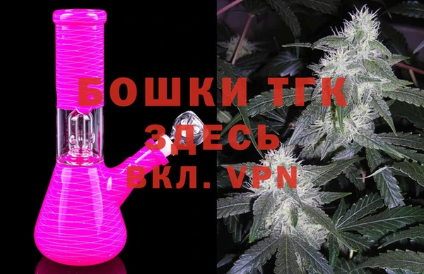 дживик Алексин