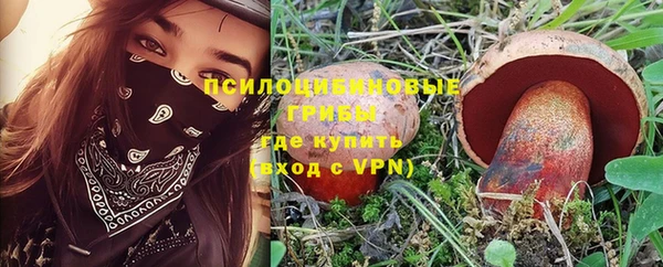 дживик Алзамай