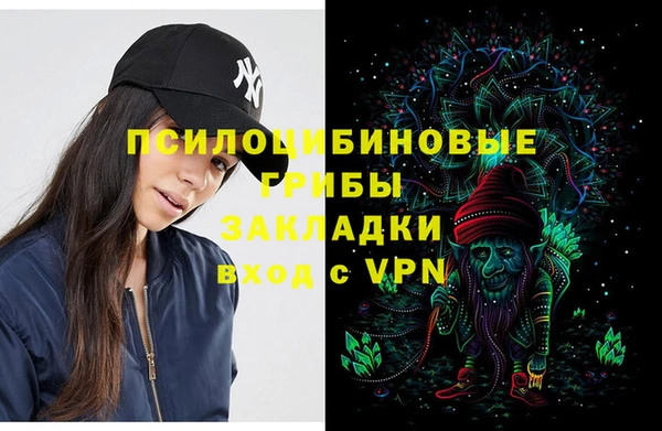 дживик Дегтярск