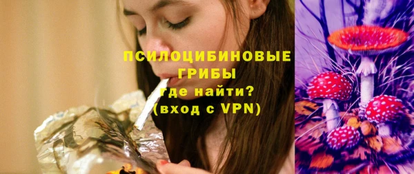 дживик Алексин